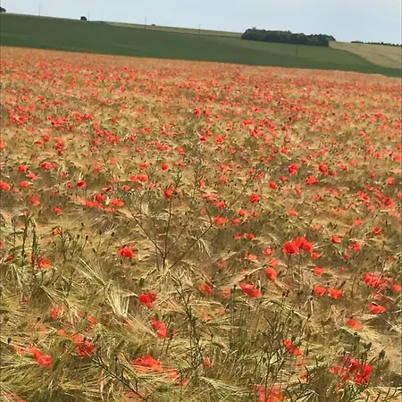 Lagalerne Nocleg ze śniadaniem