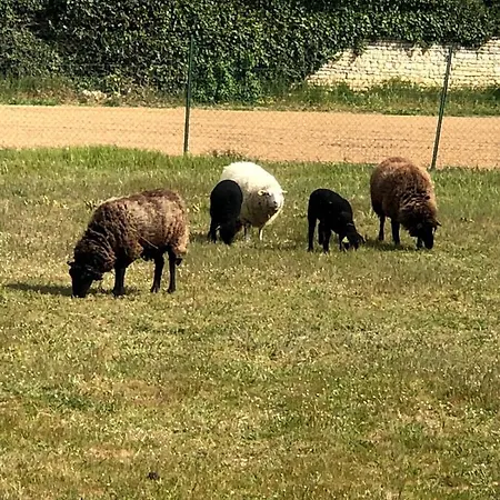 Nocleg ze śniadaniem Lagalerne