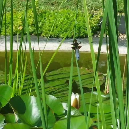 Lagalerne Nocleg ze śniadaniem Neuville-du-Poitou