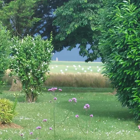 Lagalerne Nocleg ze śniadaniem