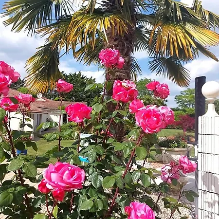 Nocleg ze śniadaniem Lagalerne