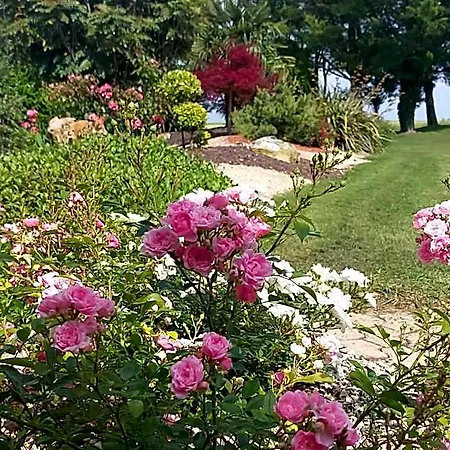 Lagalerne Neuville-du-Poitou