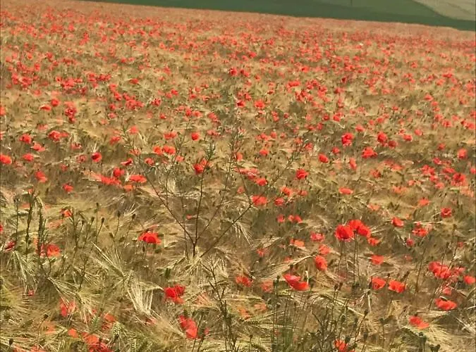 Lagalerne Couette-café