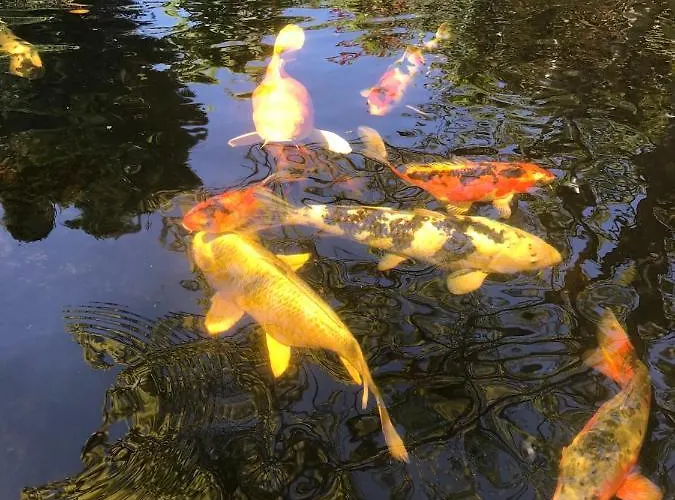 Couette-café Lagalerne 3*