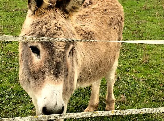 Lagalerne Couette-café