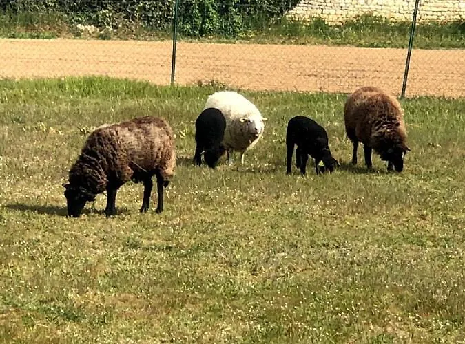 Couette-café Lagalerne