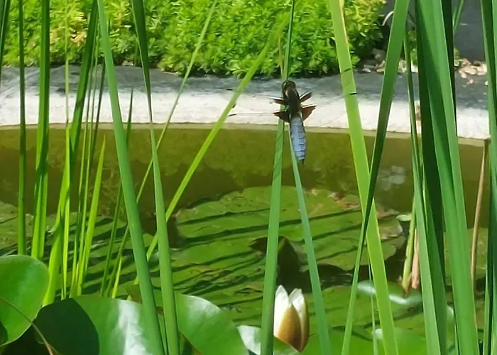 Lagalerne Couette-café Neuville-du-Poitou