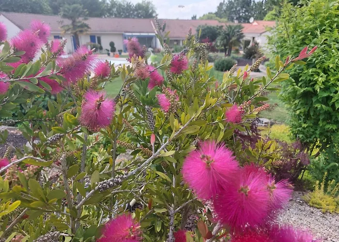 Lagalerne 3* Neuville-du-Poitou