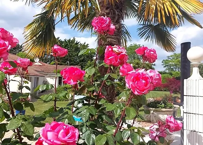 Couette-café Lagalerne