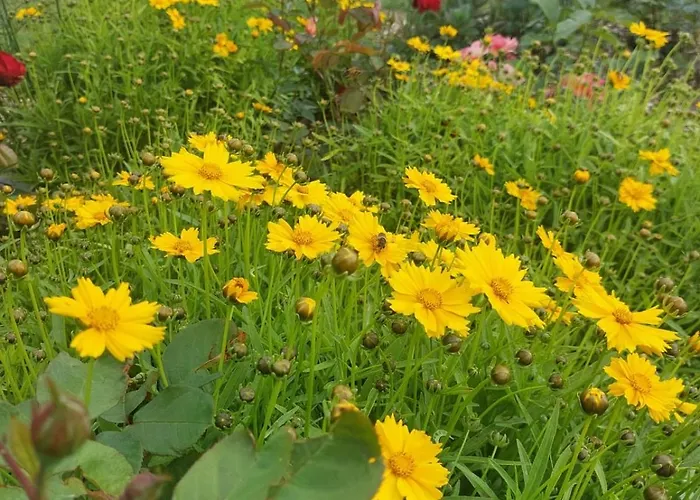 Couette-café Lagalerne Neuville-du-Poitou